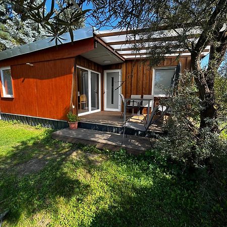 Ferienhaus Zeulenrodaer Meer Exteriör bild
