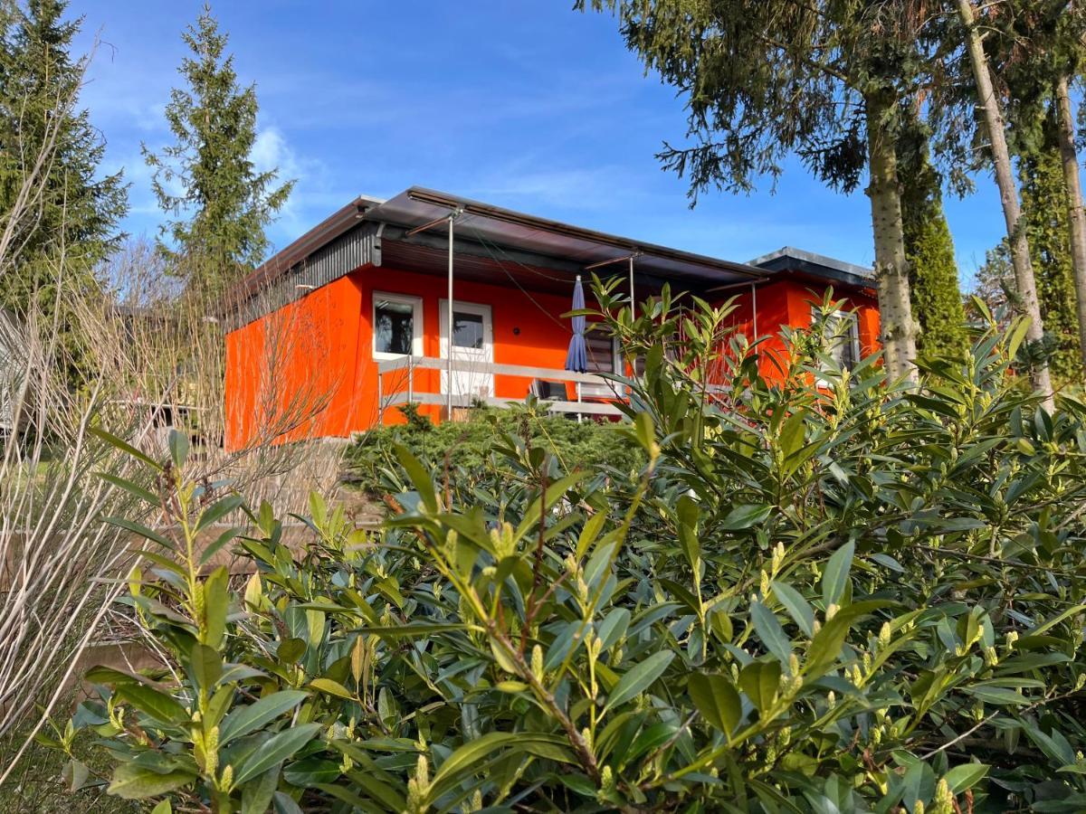 Ferienhaus Zeulenrodaer Meer Exteriör bild